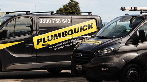 Professional Pakuranga Plumbers